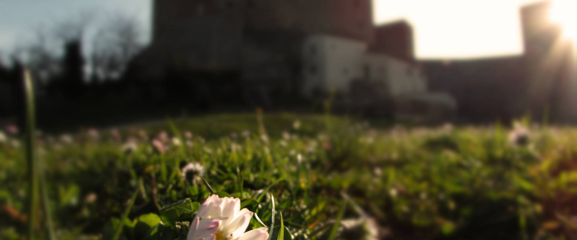 La Rocca e la sua primavera photo by LaraLally19